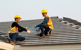 Best Roof Inspection  in Landis, NC